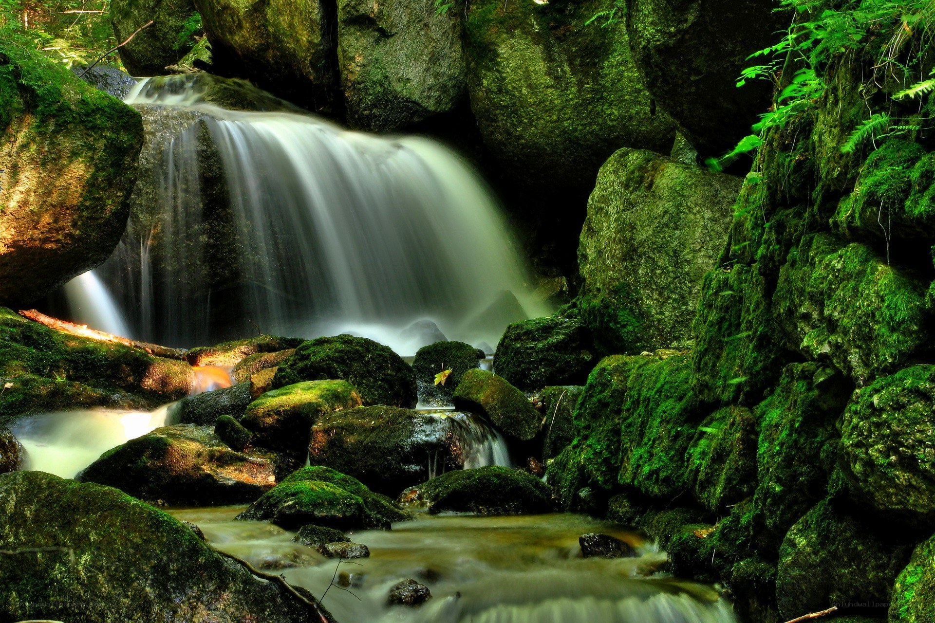 Mossy waterfall in forest