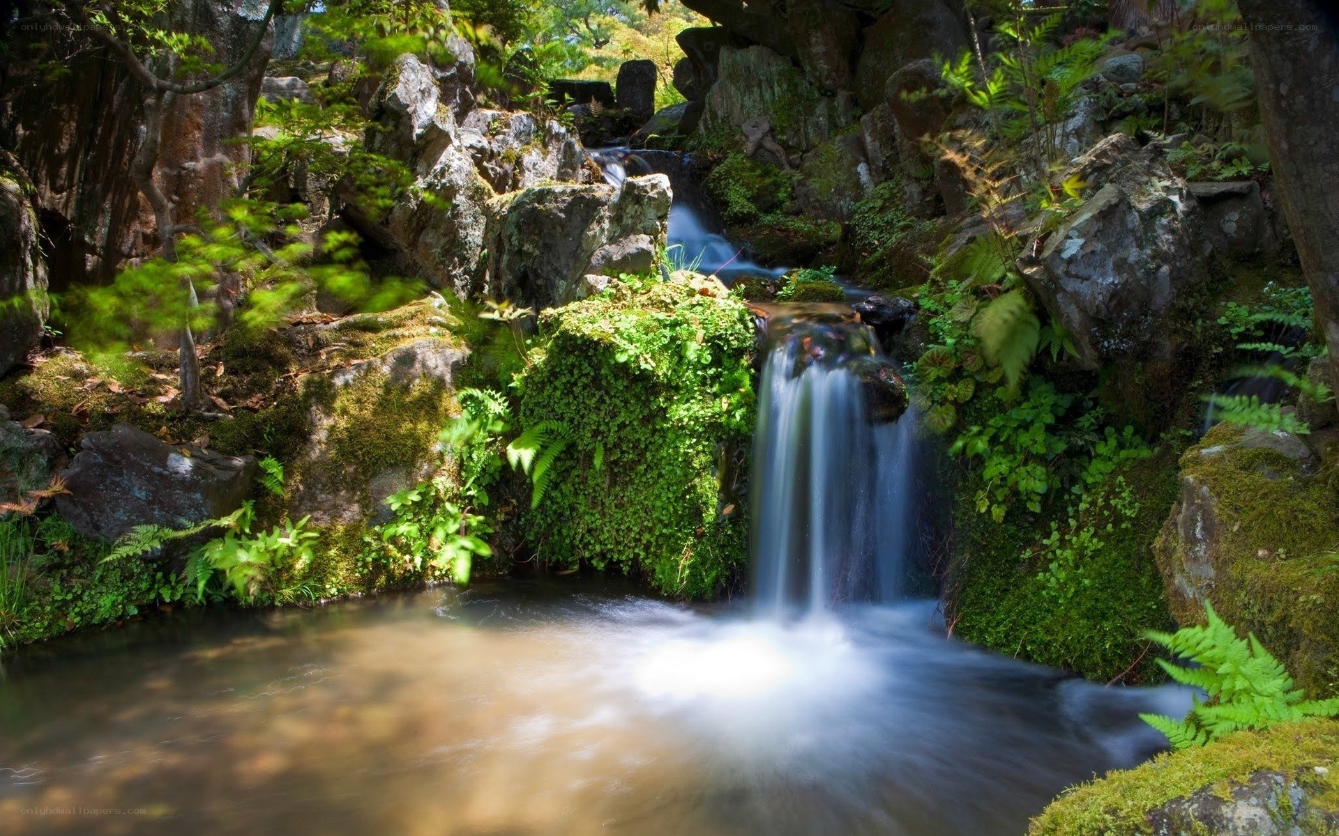 Mossy waterfall in forest
