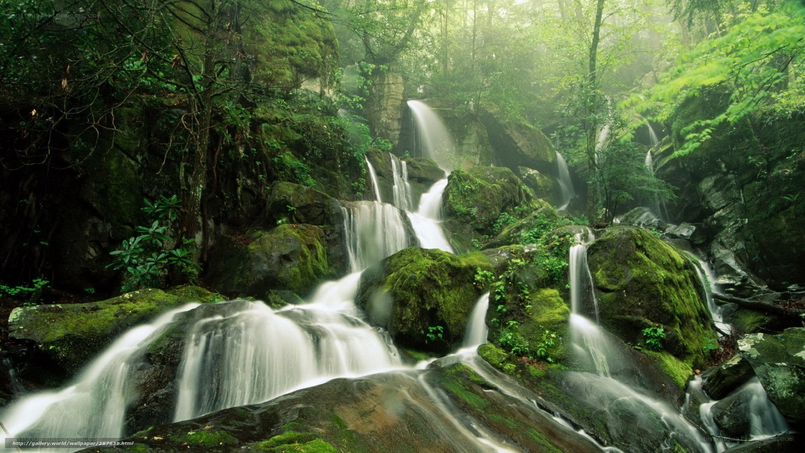 Mossy waterfall in forest