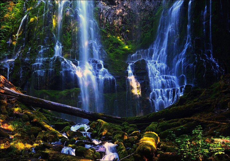 Mossy waterfall in forest