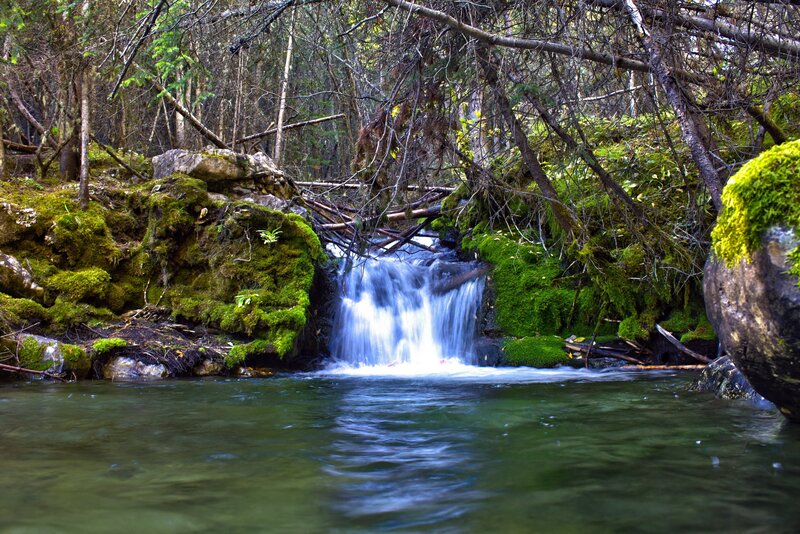Mossy waterfall in forest