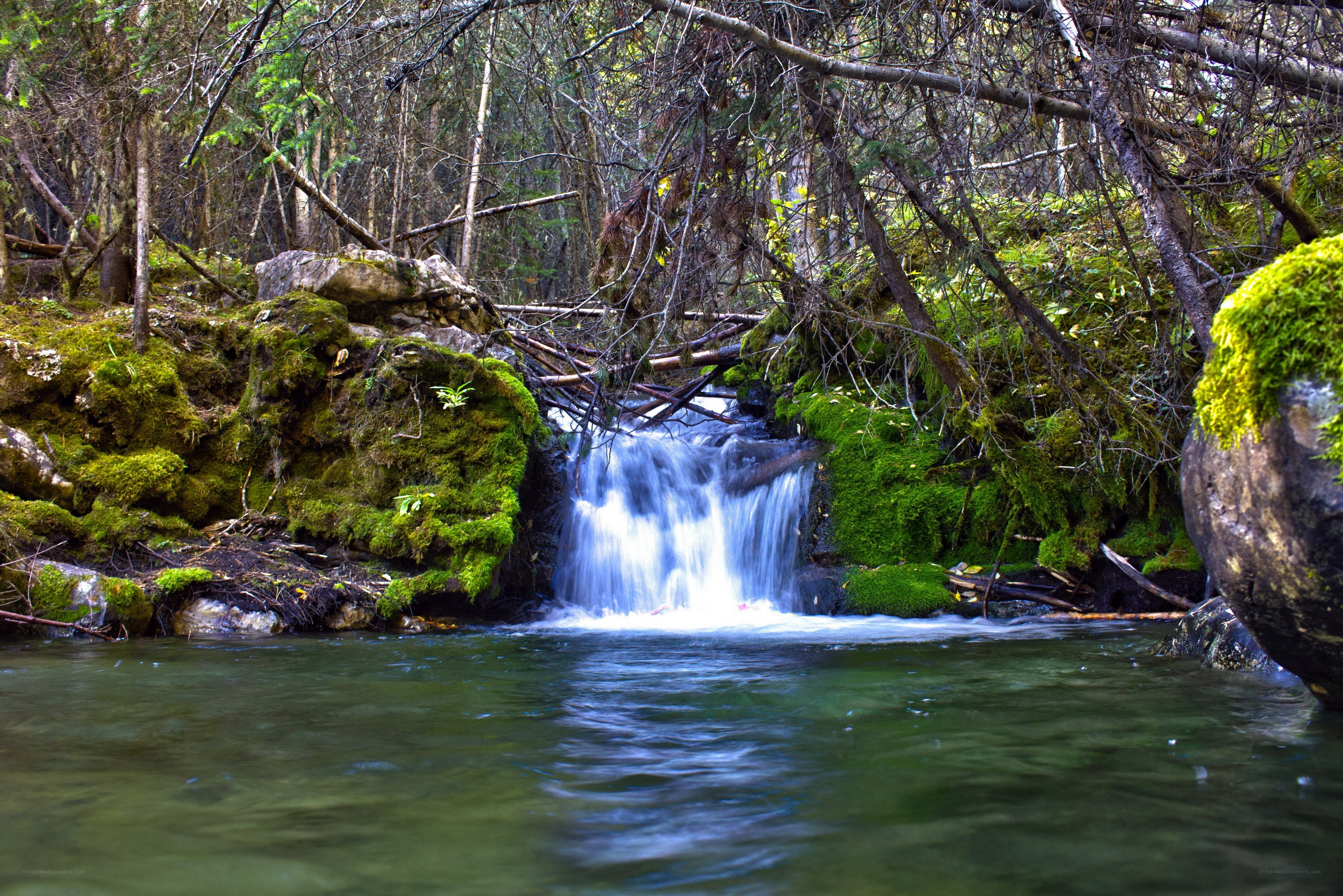 Mossy waterfall in forest