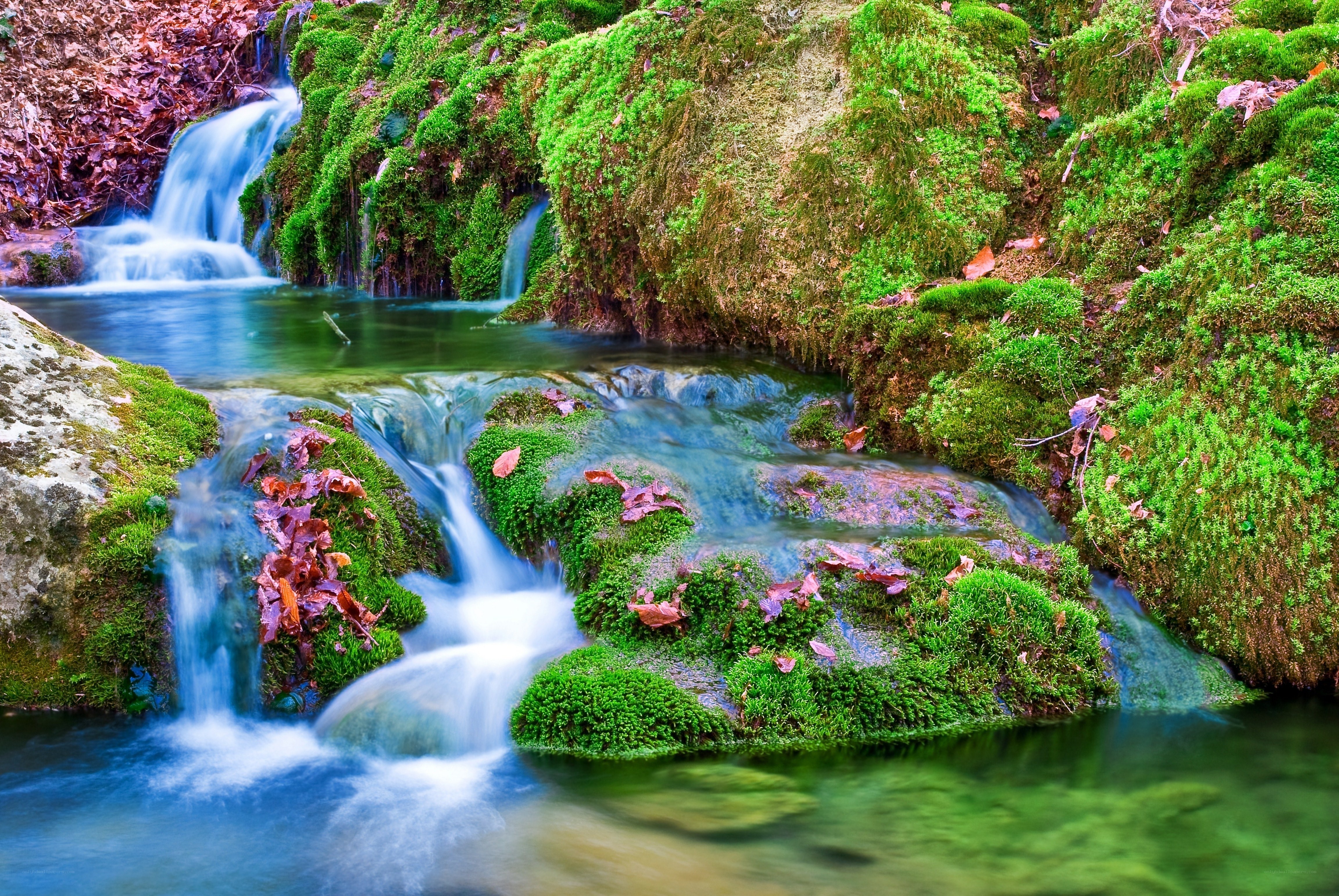 Mossy waterfall in forest