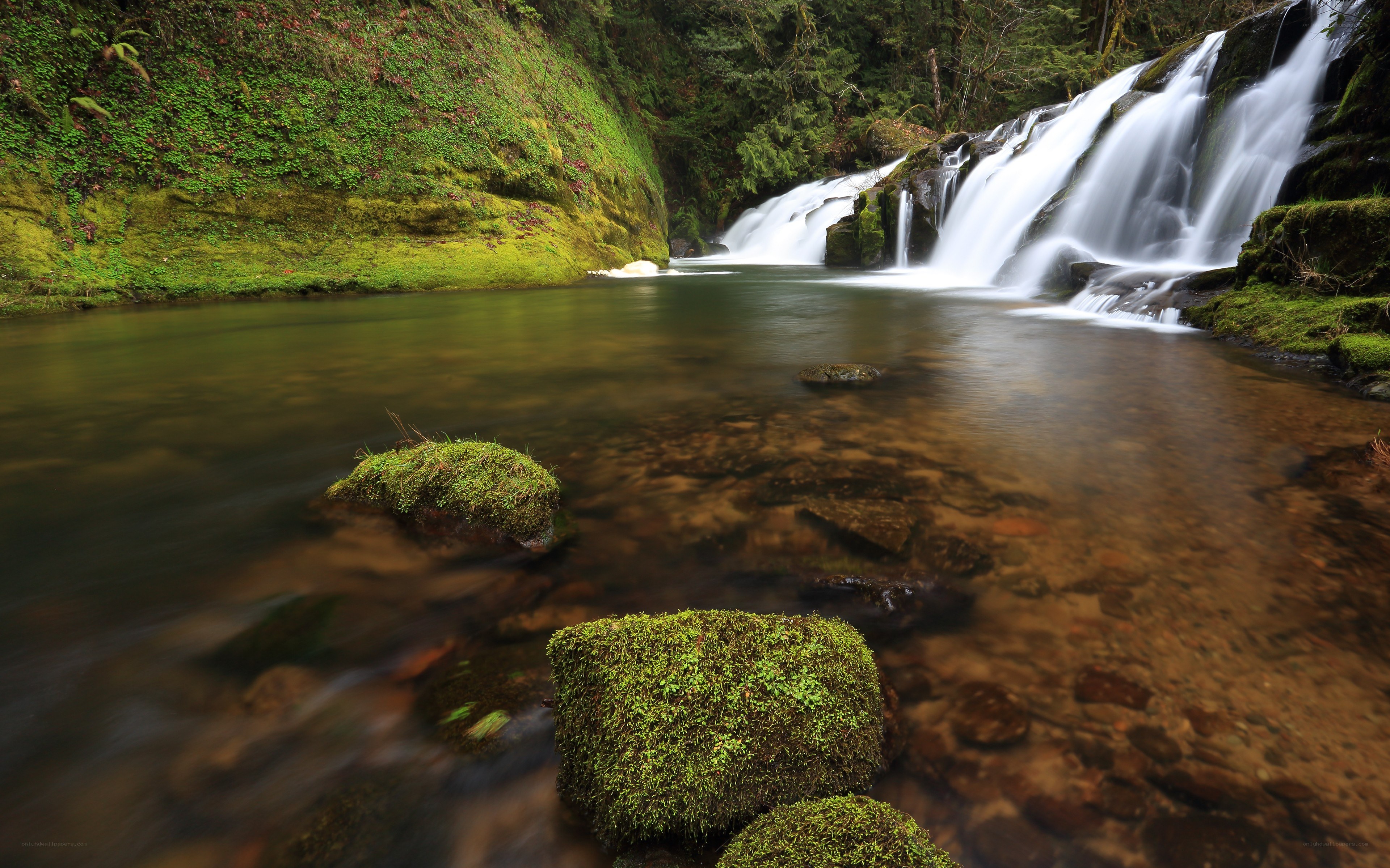 Mossy waterfall in forest