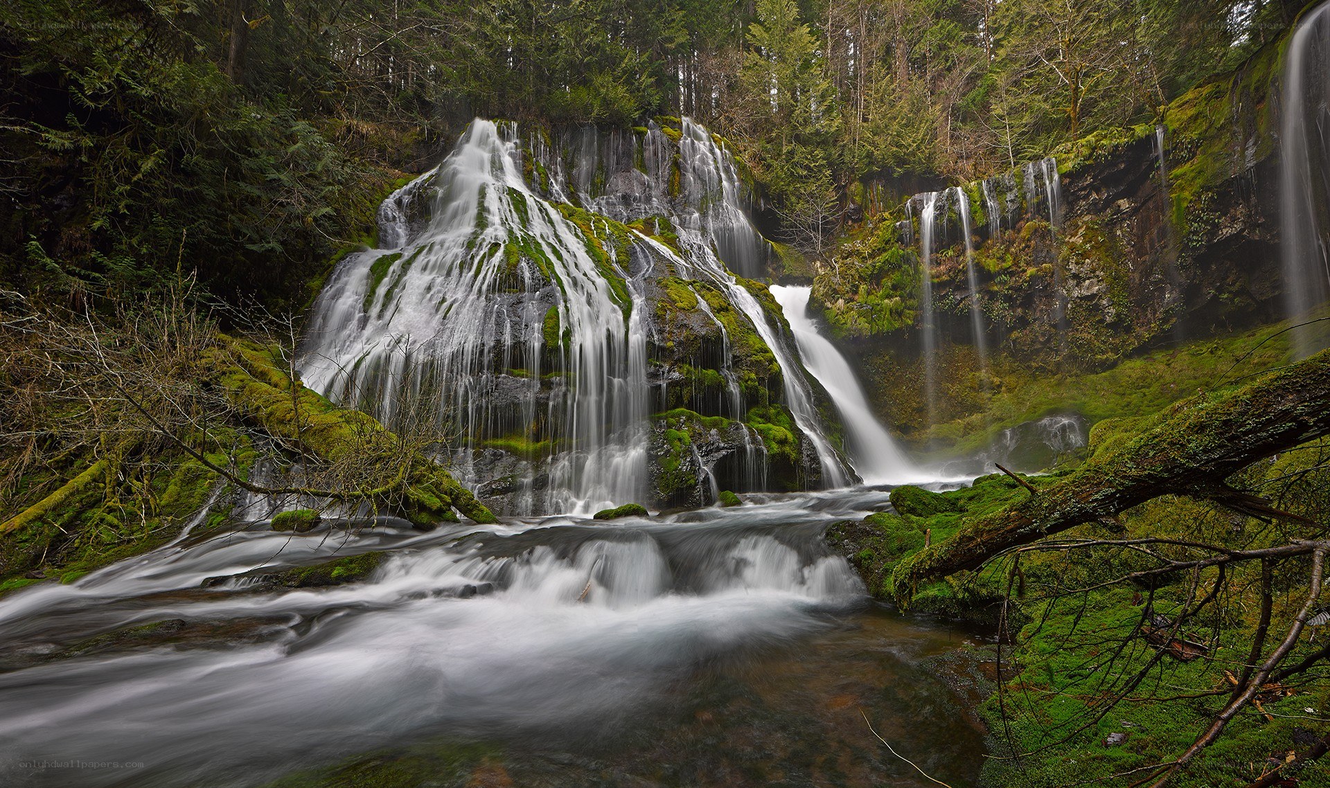 Mossy waterfall in forest