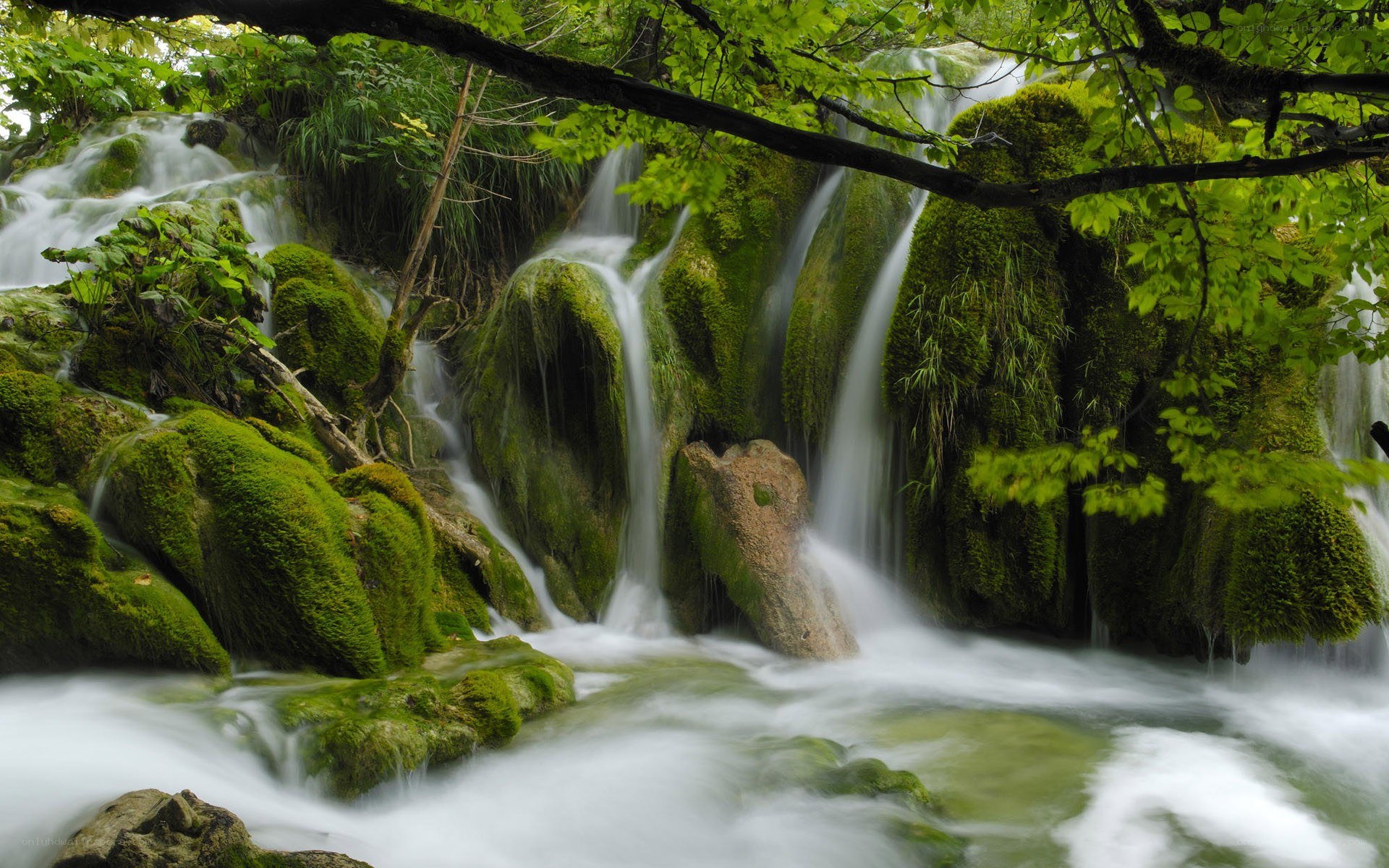 Mossy waterfall in forest