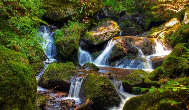 Mossy waterfall in forest