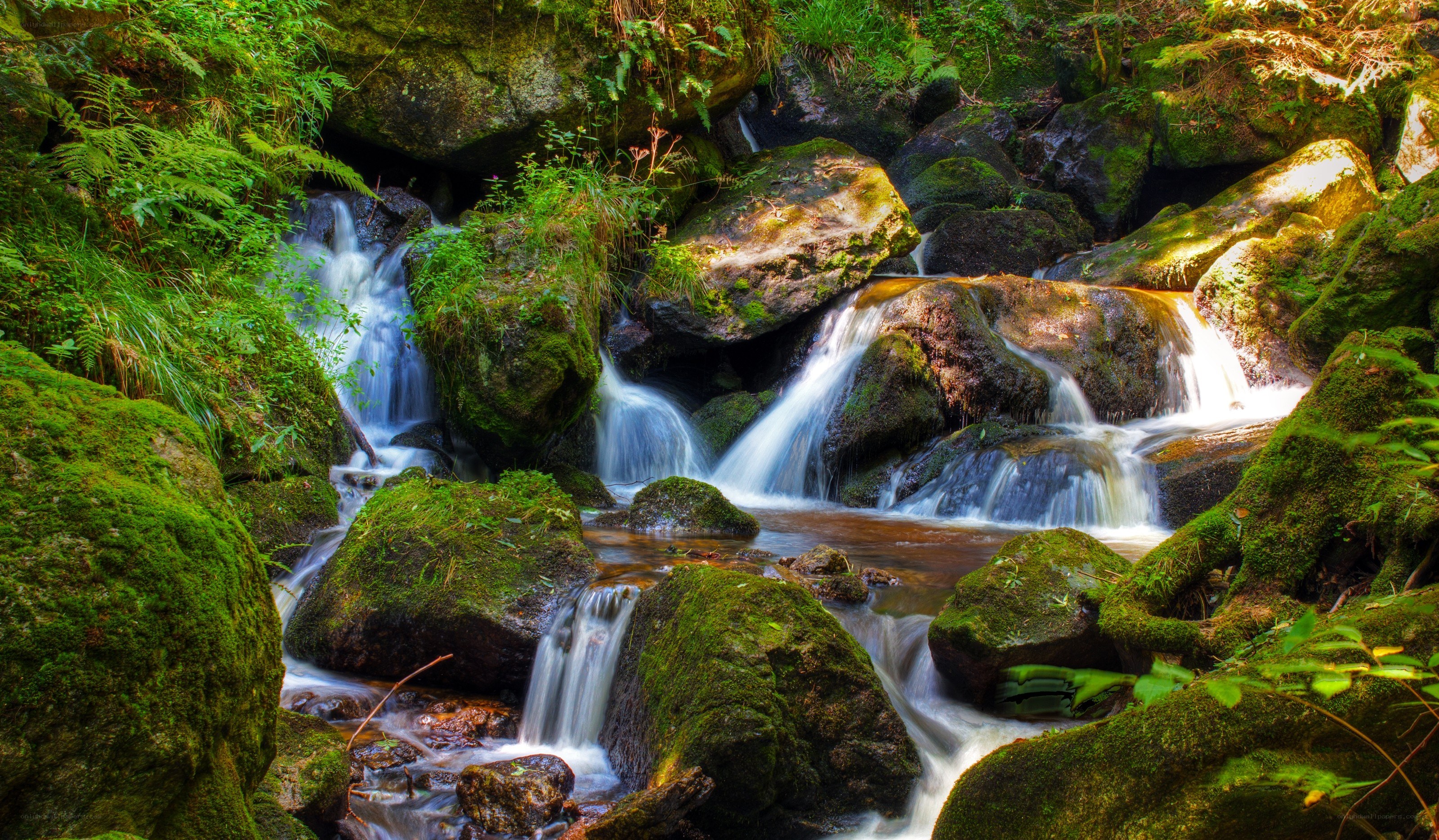 Mossy waterfall in forest