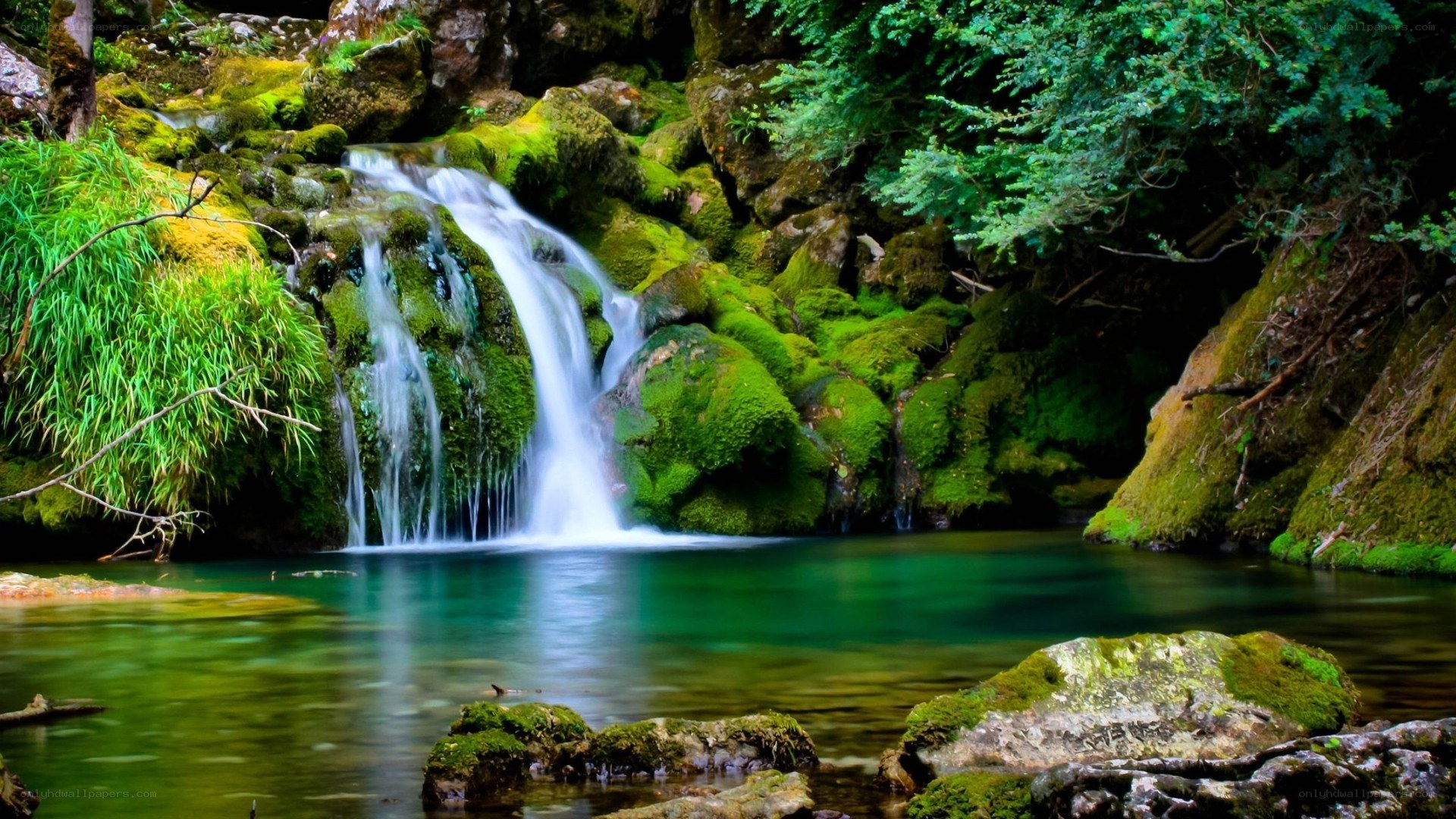 Mossy waterfall in forest