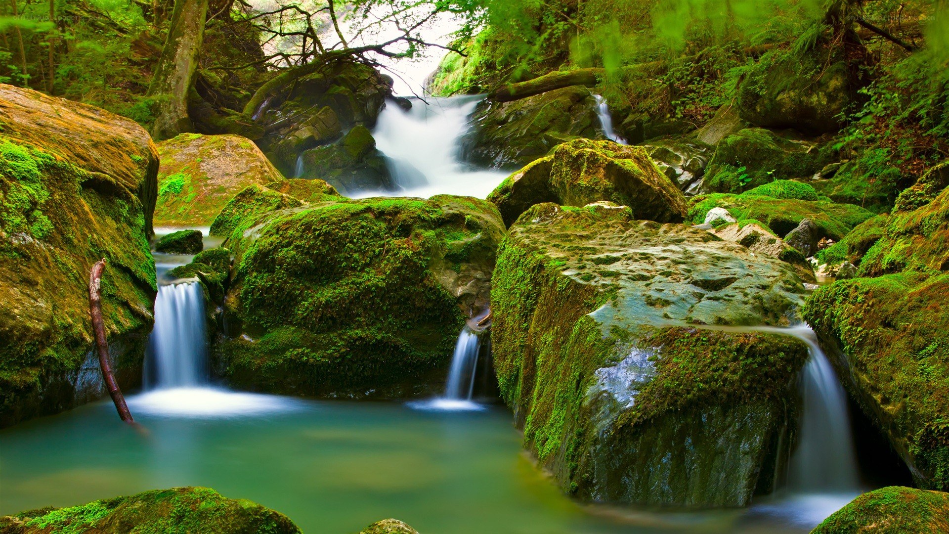 Mossy waterfall in forest