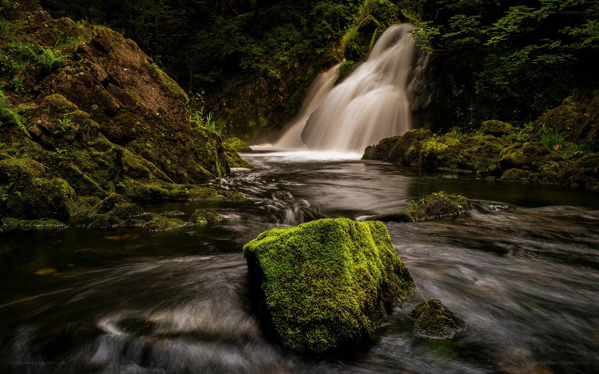 Mossy waterfall in forest