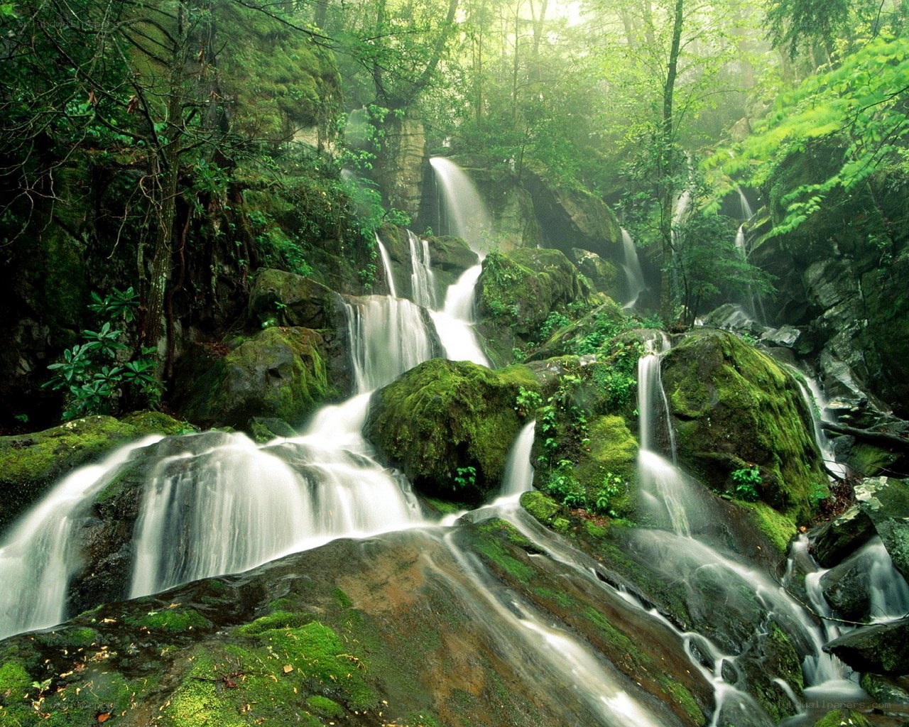 Mossy waterfall in forest