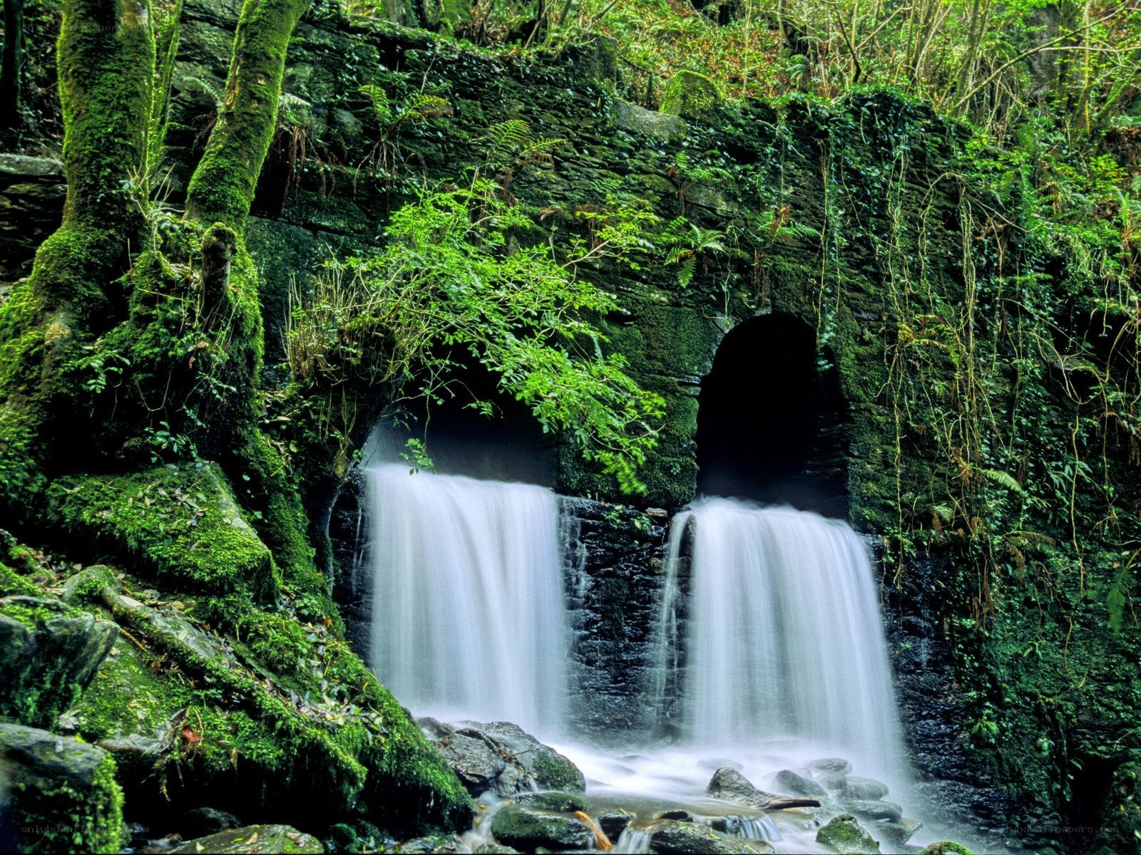 Mossy waterfall in forest