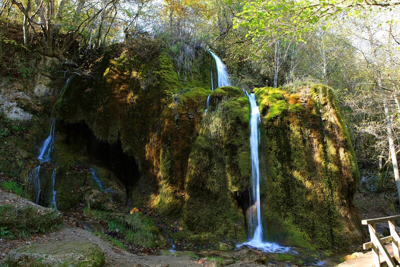 Mossy waterfall in forest
