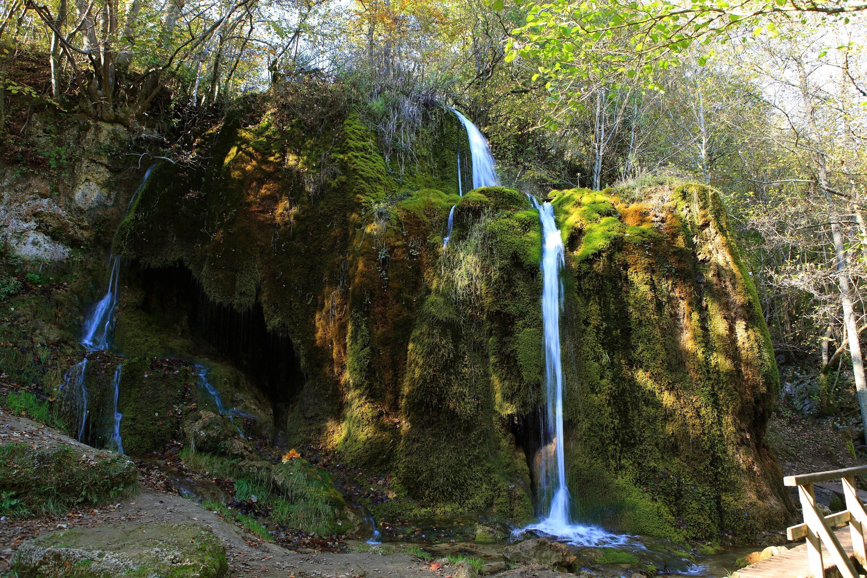 Mossy waterfall in forest