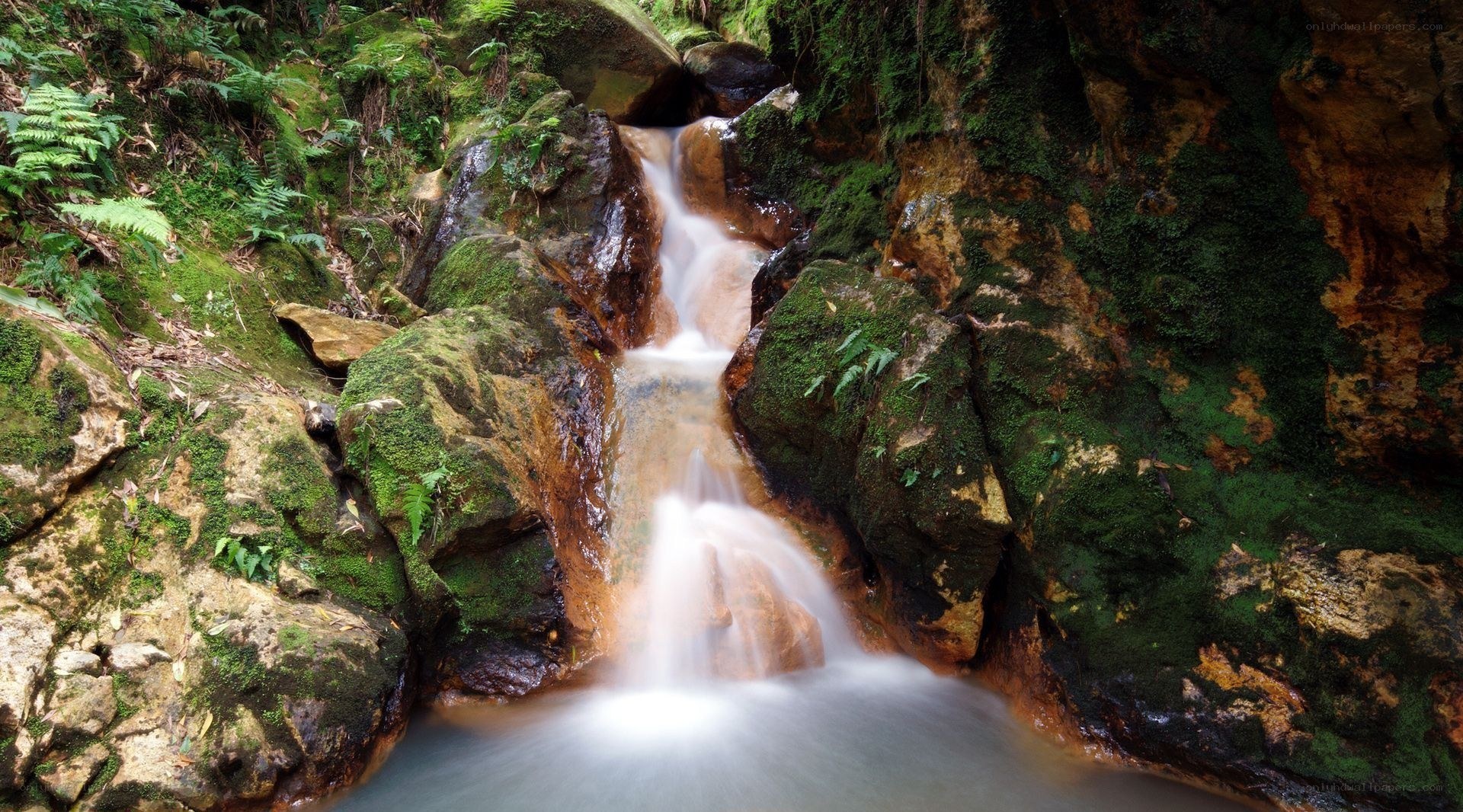Mossy waterfall in forest