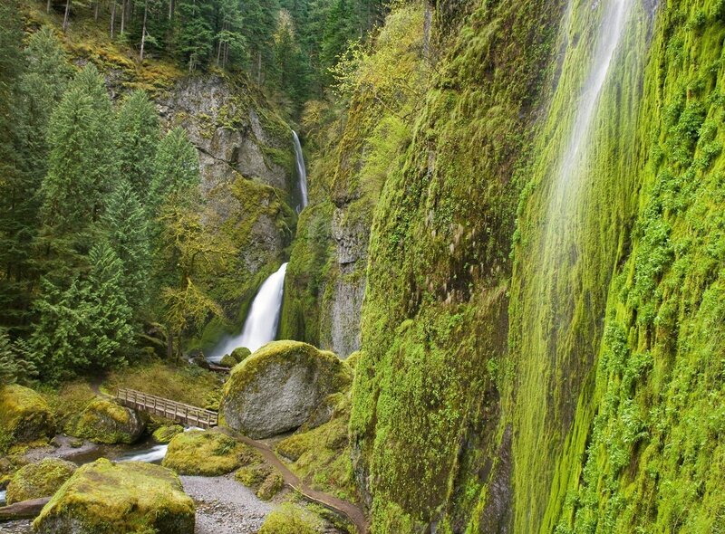 Mossy waterfall in forest