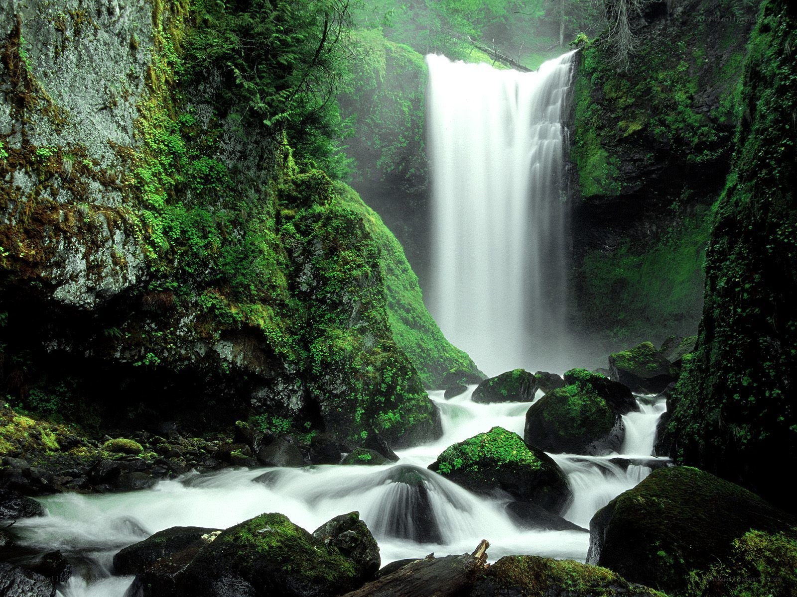 Mossy waterfall in forest