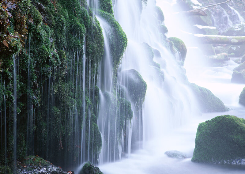 Mossy waterfall in forest