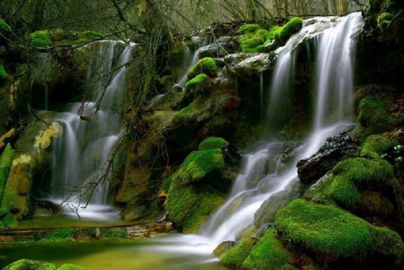 Mossy waterfall in forest