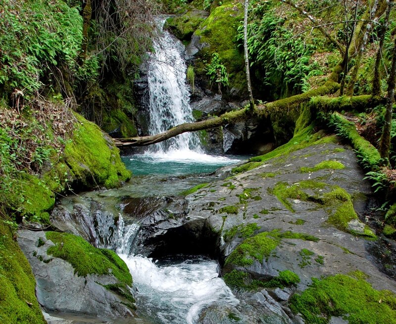 Mossy waterfall in forest