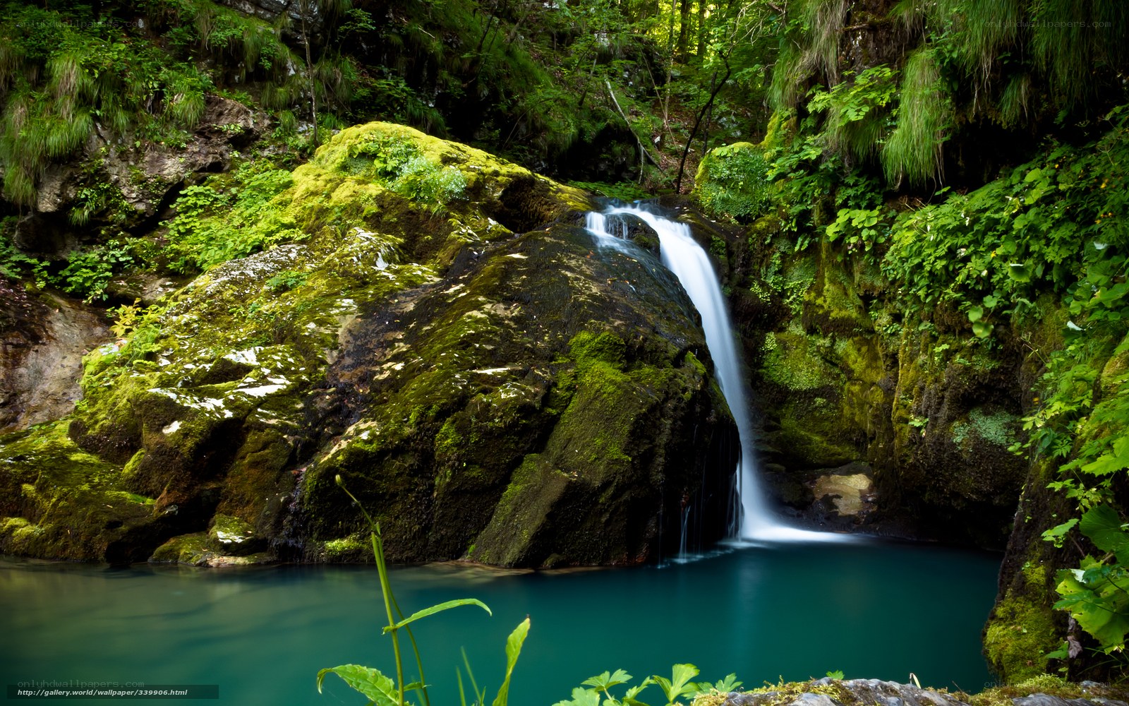 Mossy waterfall in forest