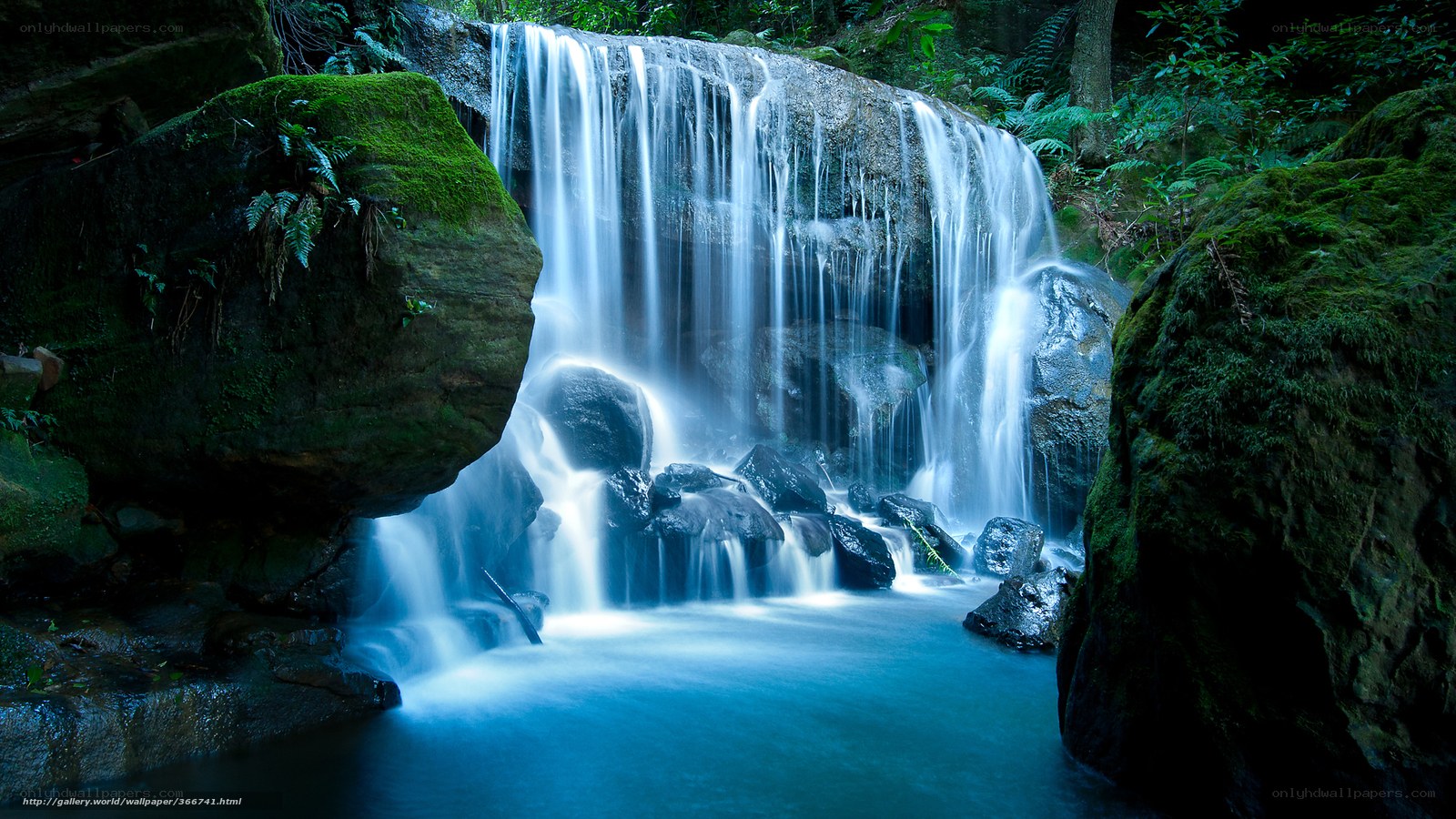 Mossy waterfall in forest