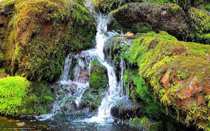 Mossy waterfall in forest