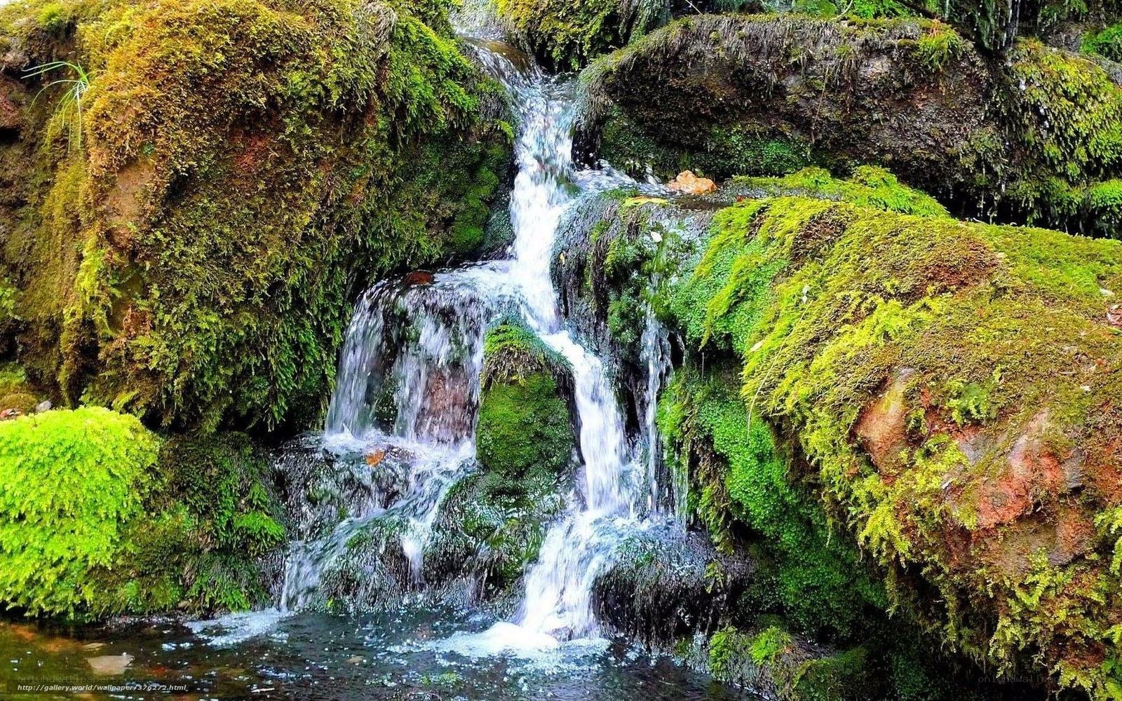 Mossy waterfall in forest