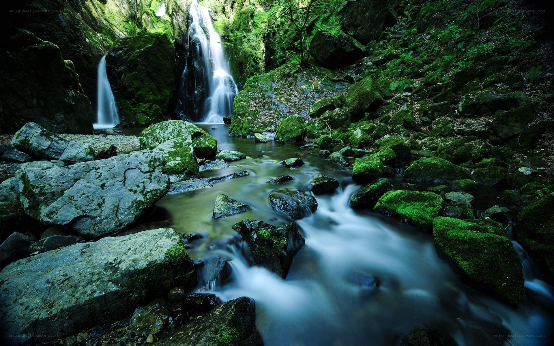 Mossy waterfall in forest