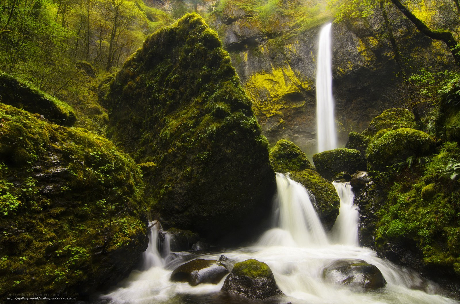 Mossy waterfall in forest