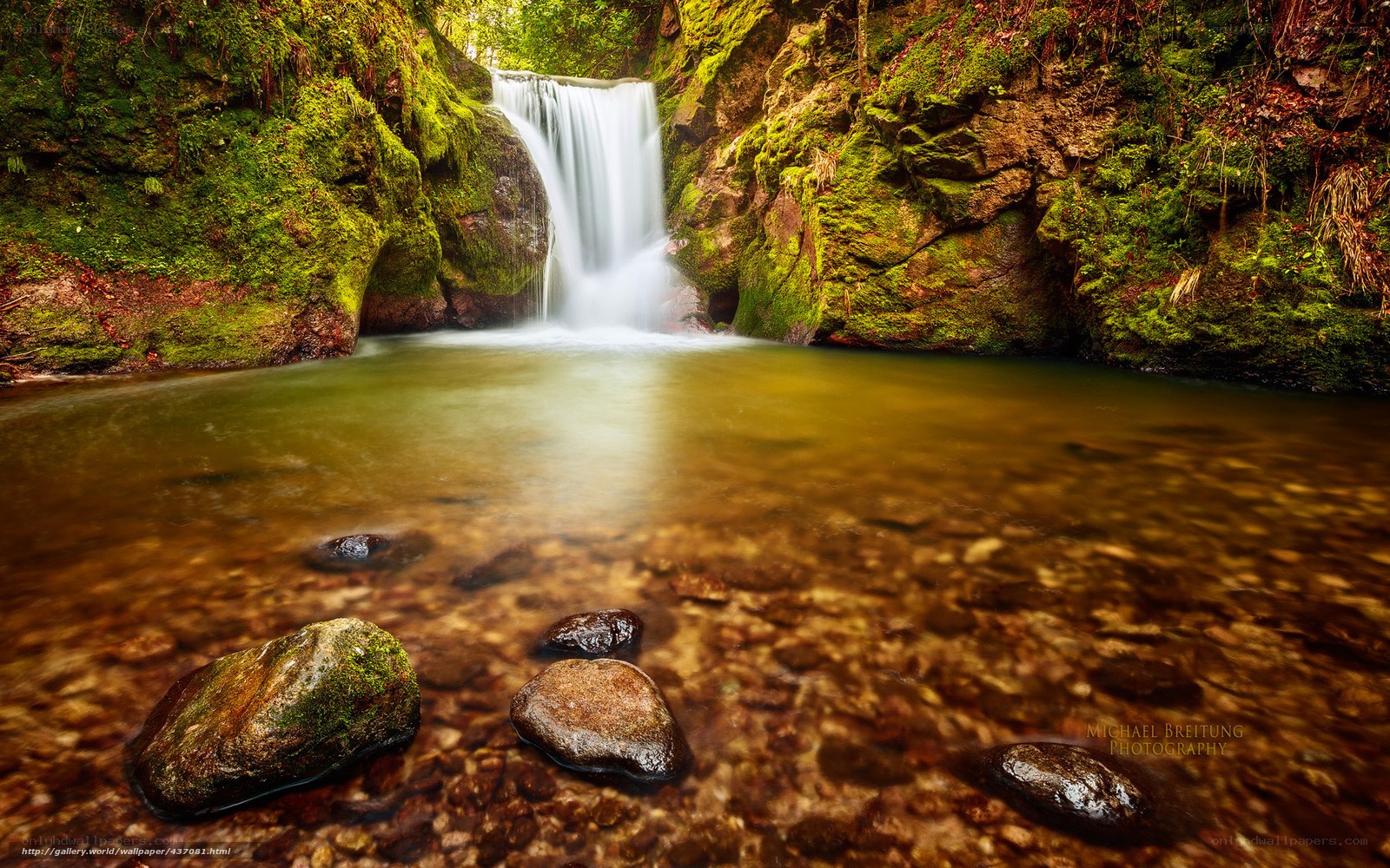 Mossy waterfall in forest