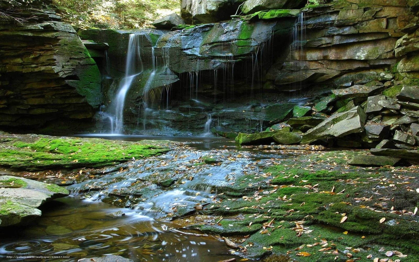 Mossy waterfall in forest