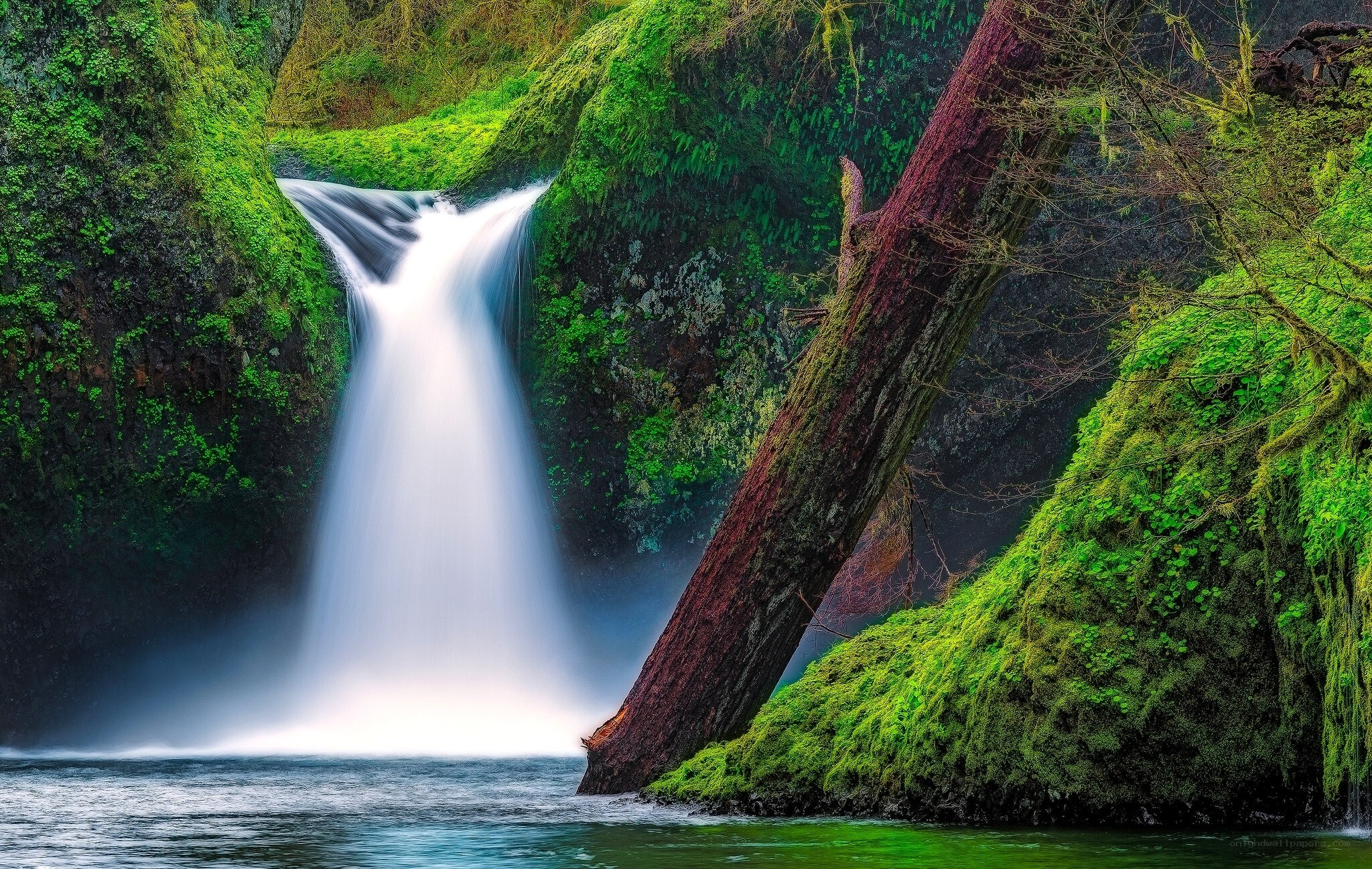 Mossy waterfall in forest