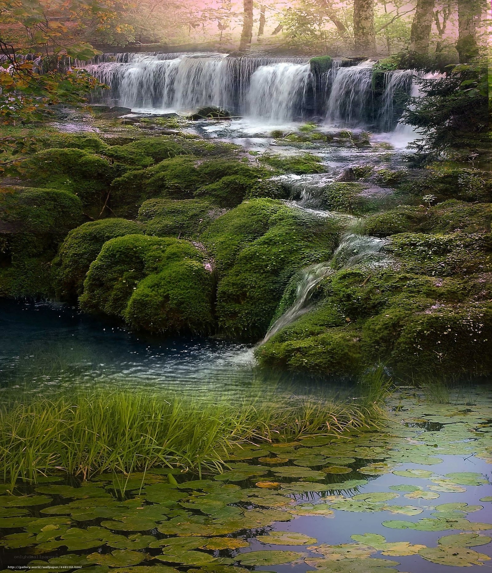 Mossy waterfall in forest