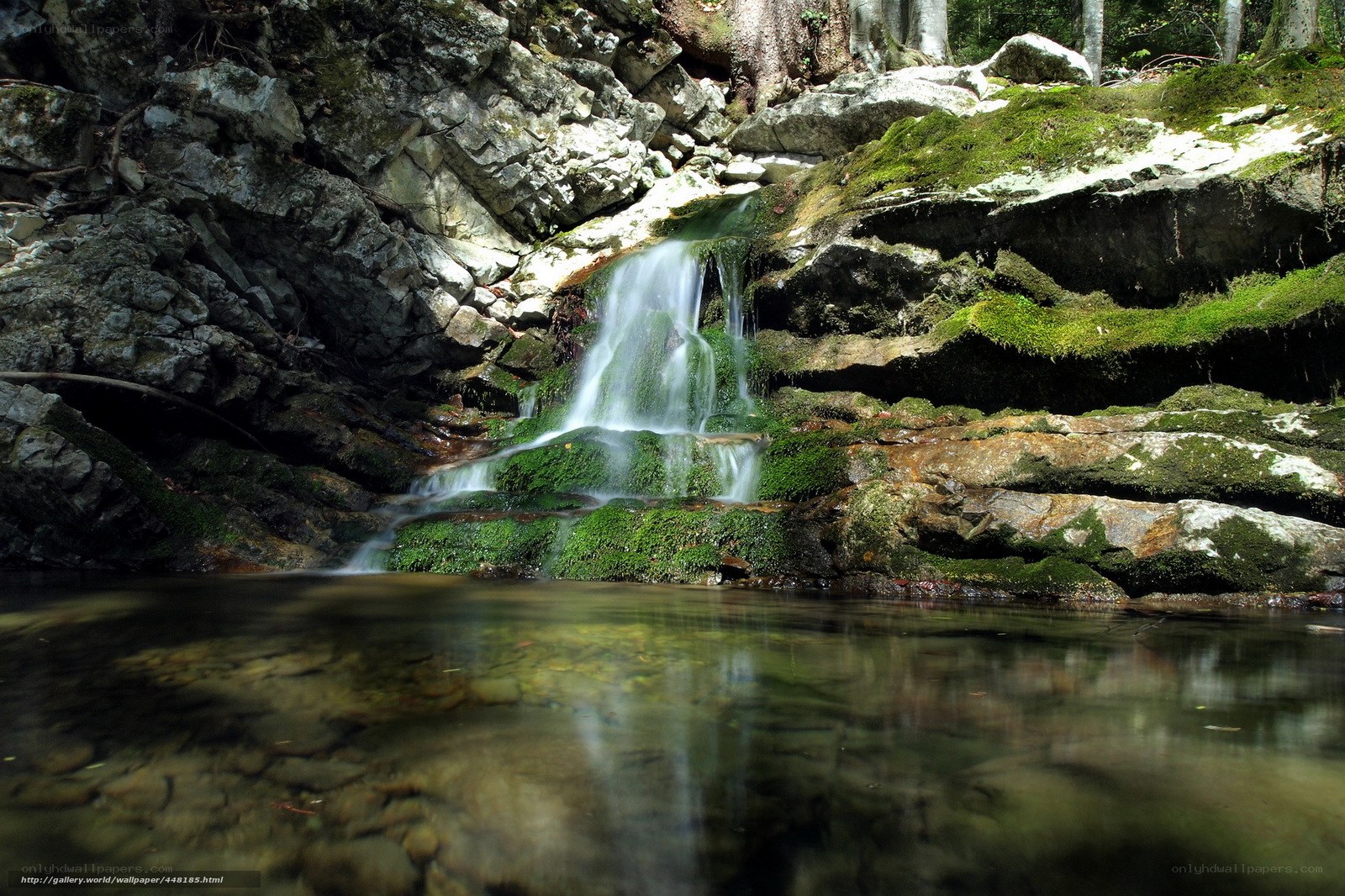 Mossy waterfall in forest