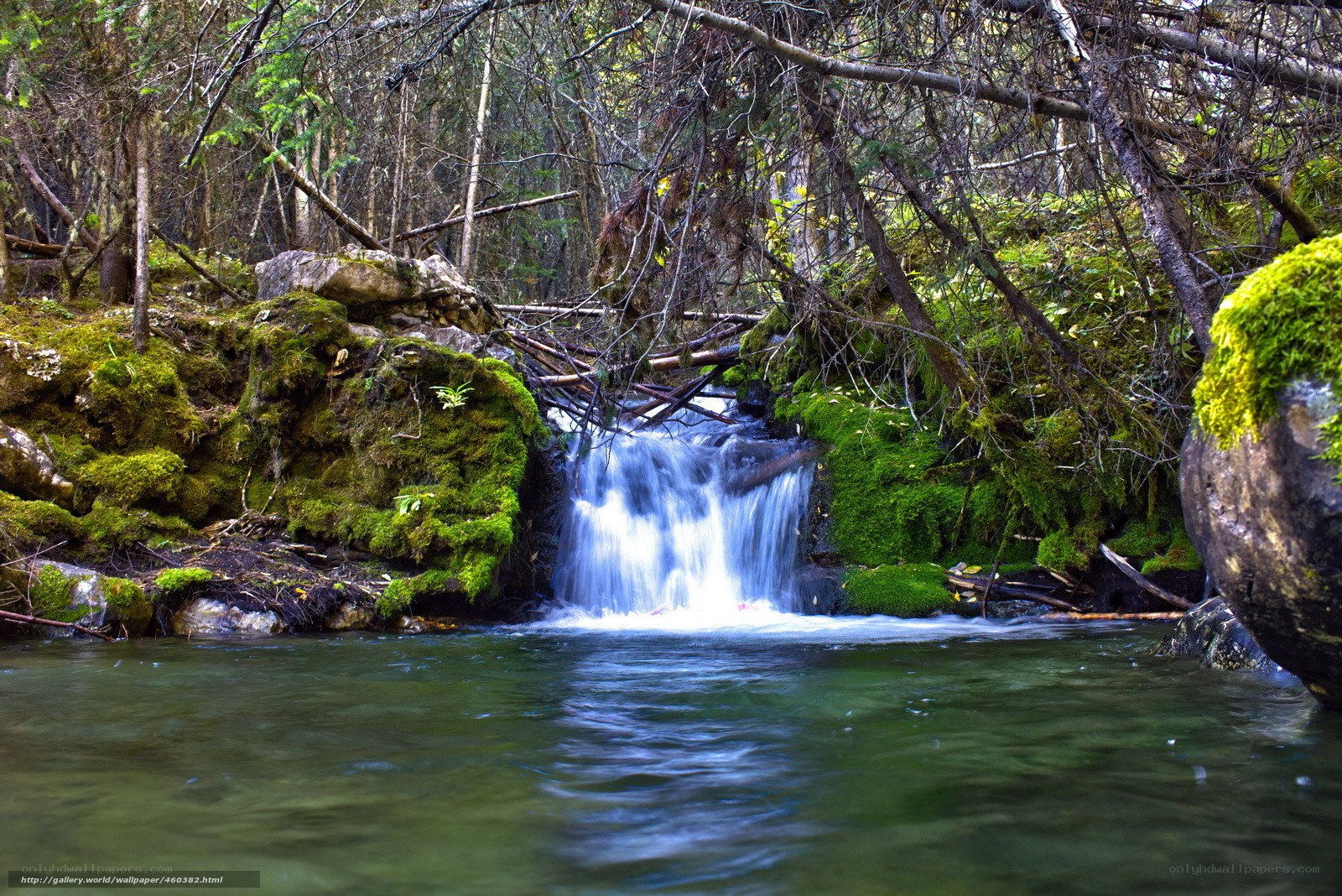 Mossy waterfall in forest