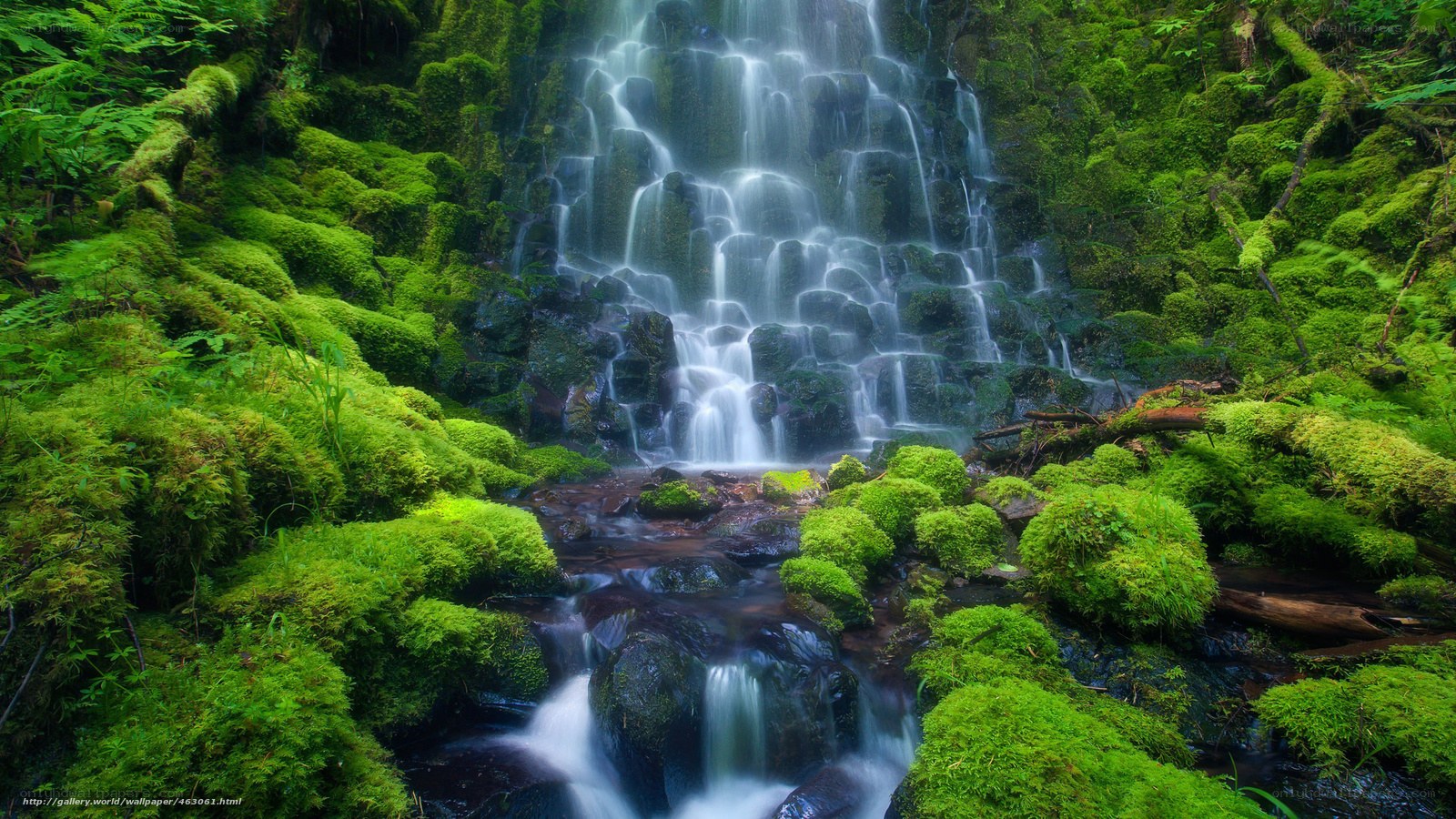 Mossy waterfall in forest