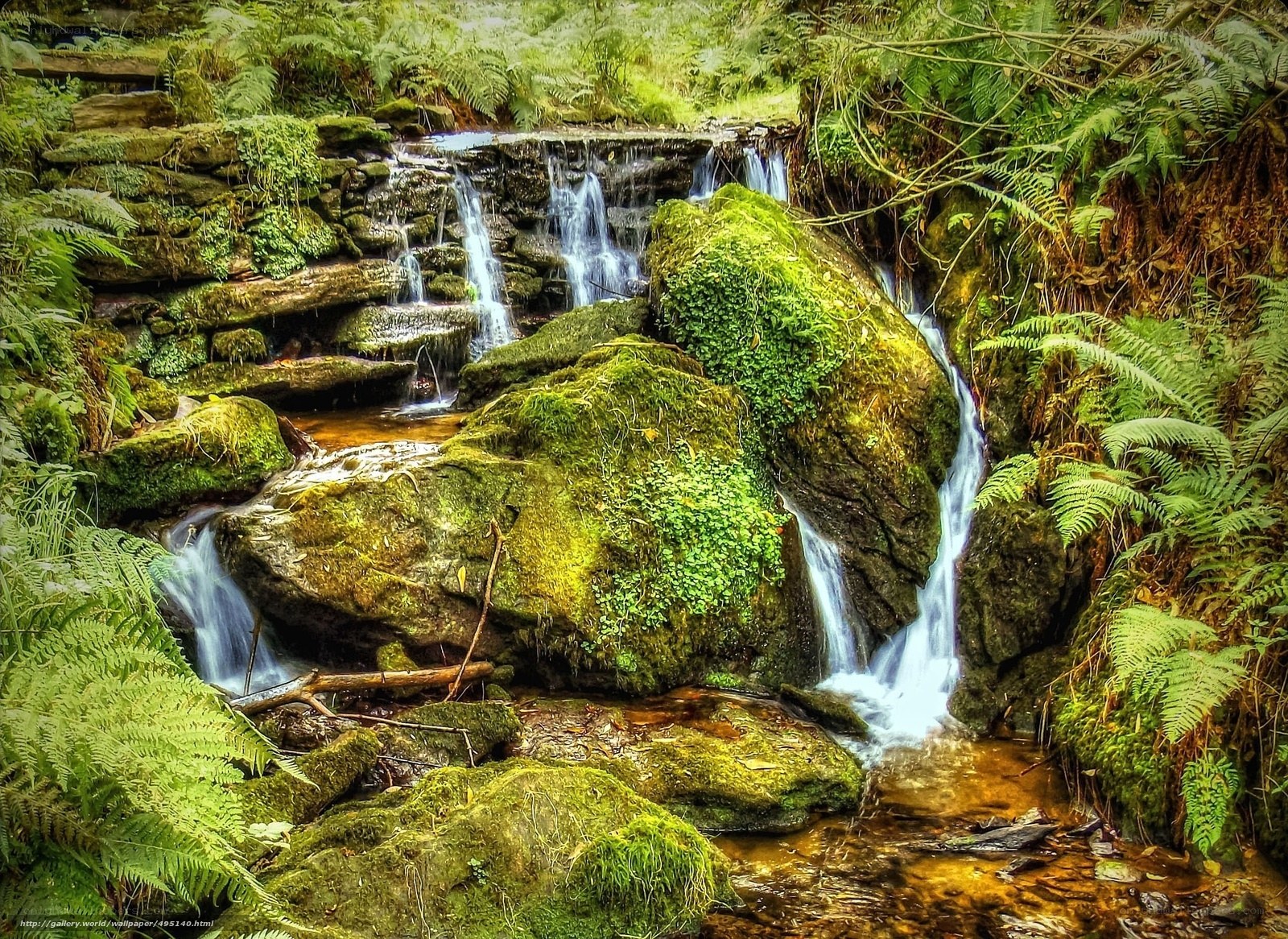 Mossy waterfall in forest
