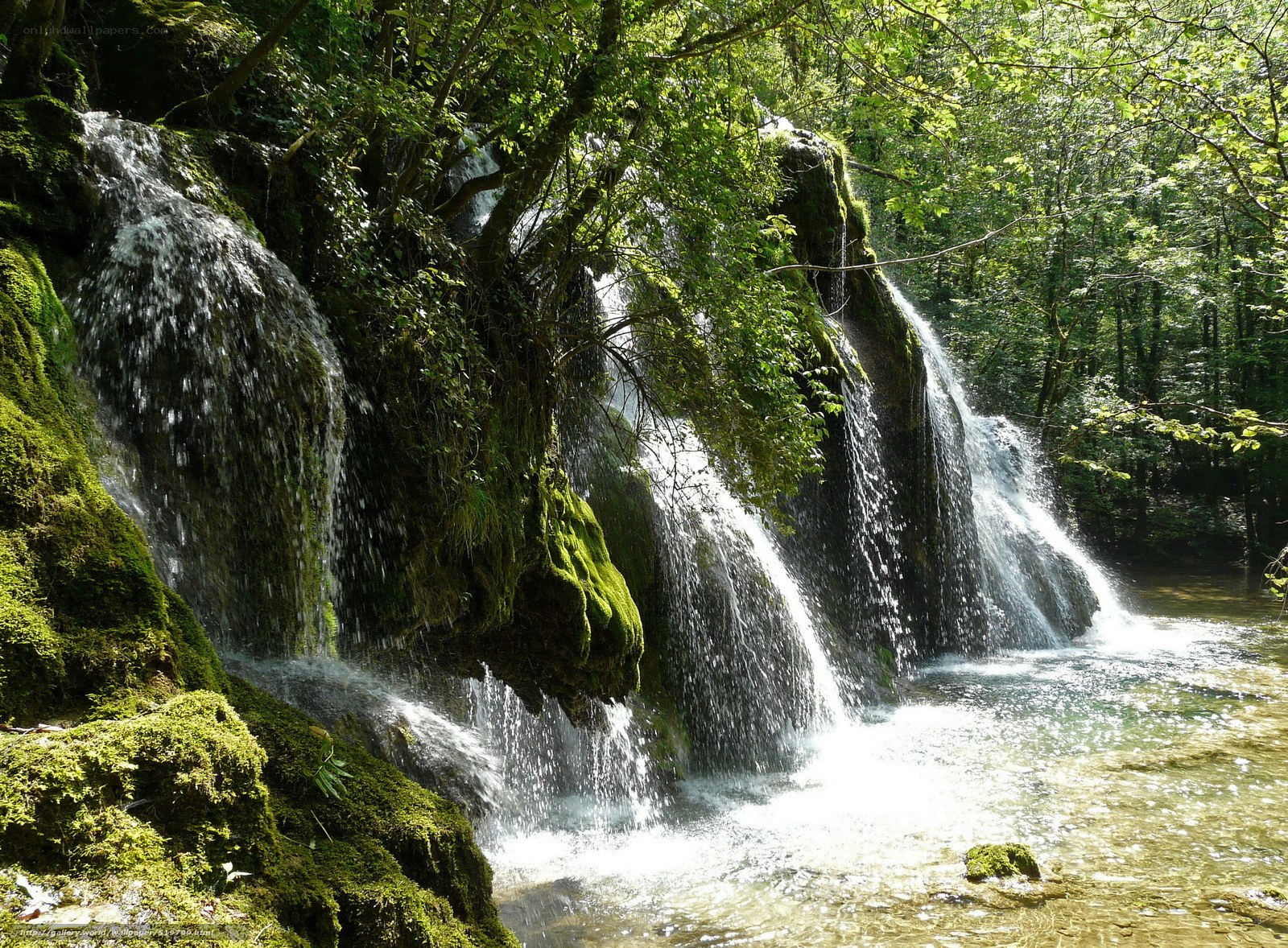 Mossy waterfall in forest