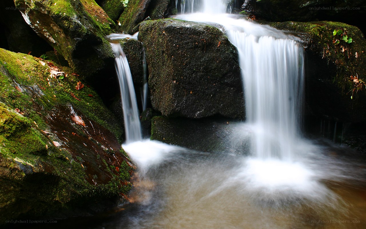 Mossy waterfall in forest