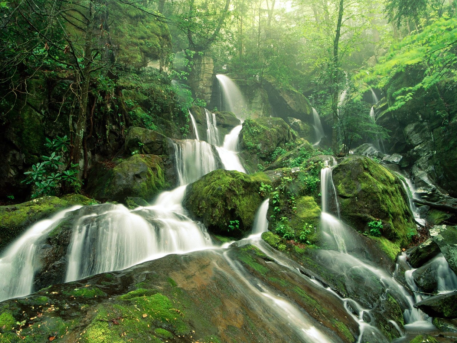 Mossy waterfall in forest