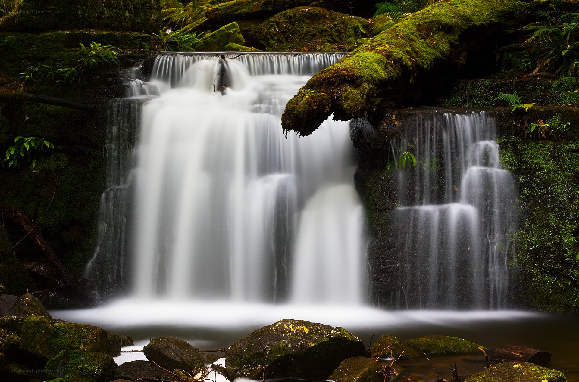 Mossy waterfall in forest