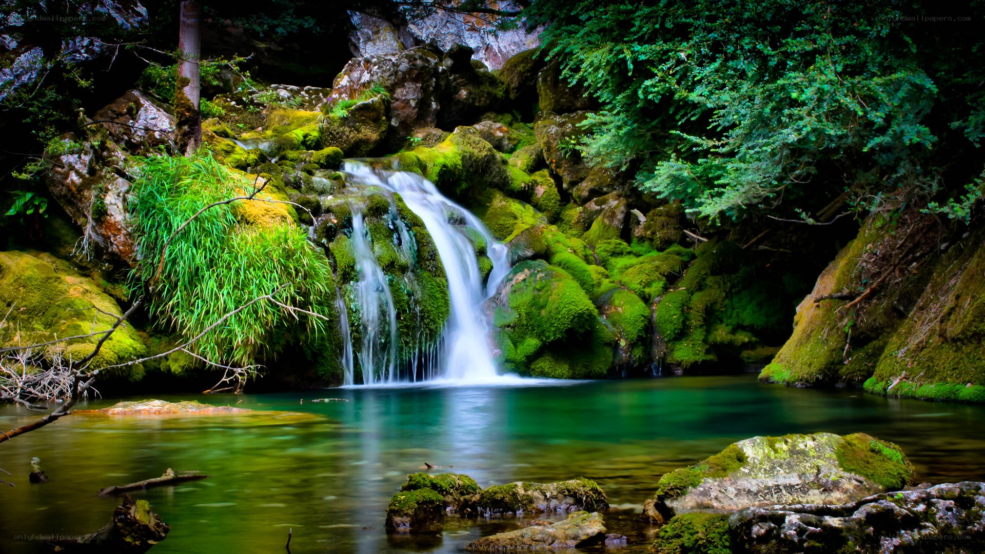 Mossy waterfall in forest