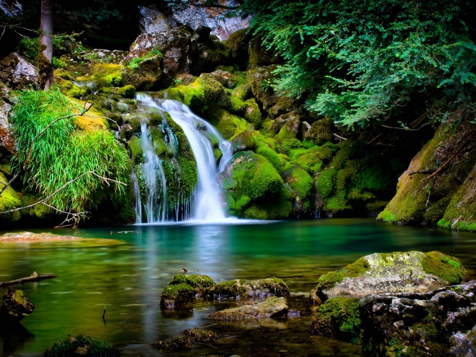 Mossy waterfall in forest