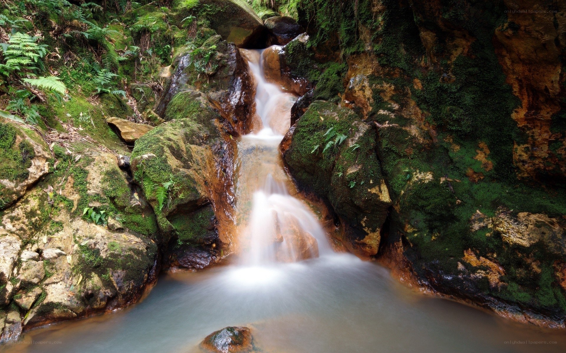 Mossy waterfall in forest