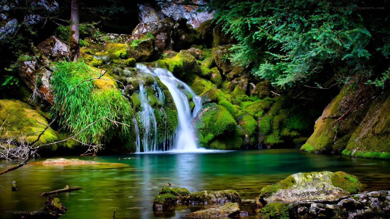 Mossy waterfall in forest