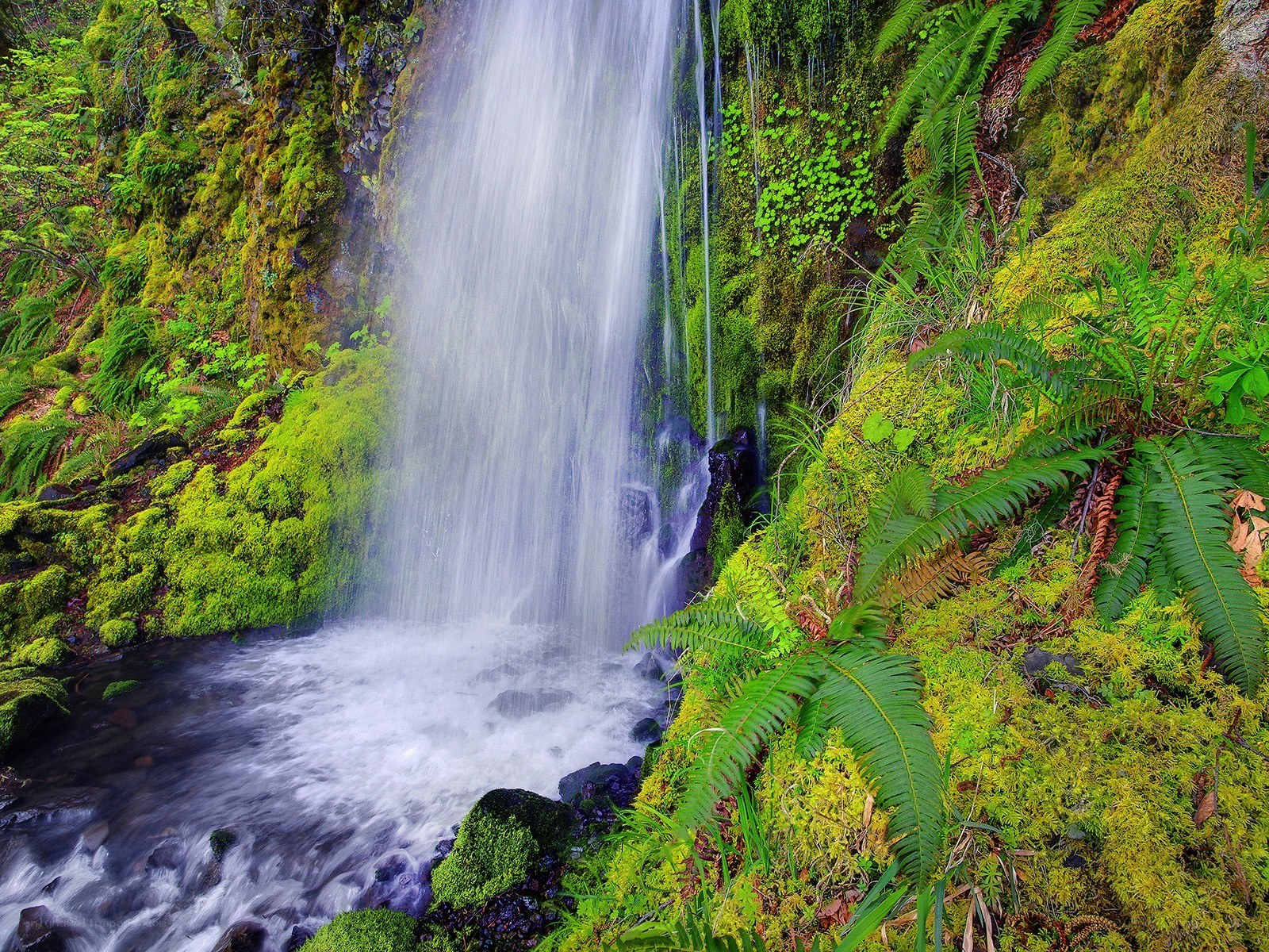 Mossy waterfall in forest