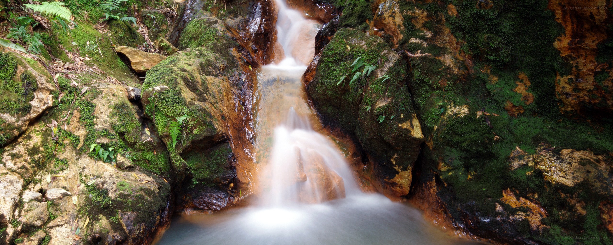 Mossy waterfall in forest