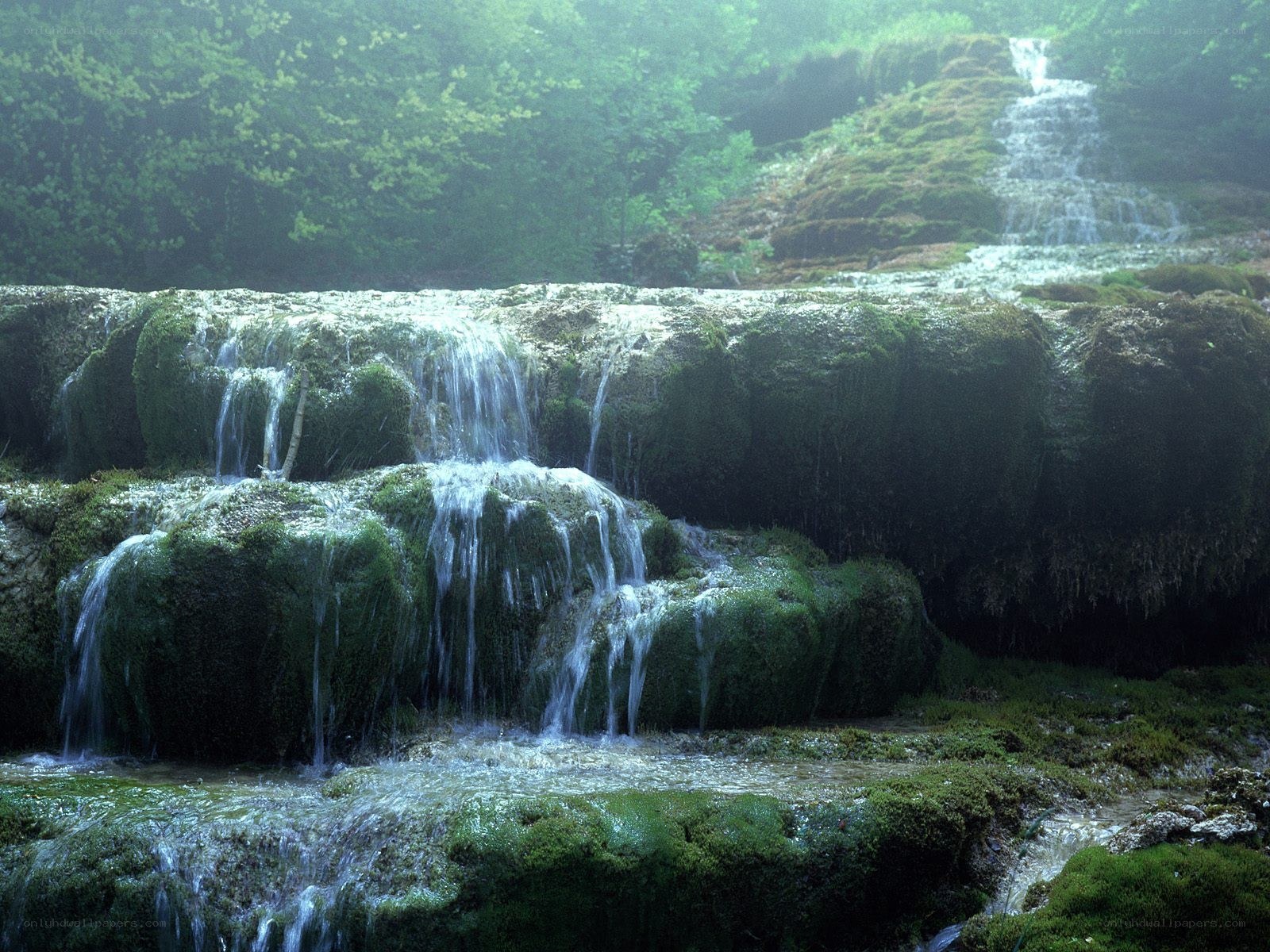 Mossy waterfall in forest